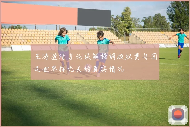 王涛澄清言论误解强调版权费与国足世界杯无关的真实情况
