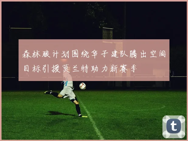 森林狼计划围绕华子建队腾出空间目标引援莫兰特助力新赛季